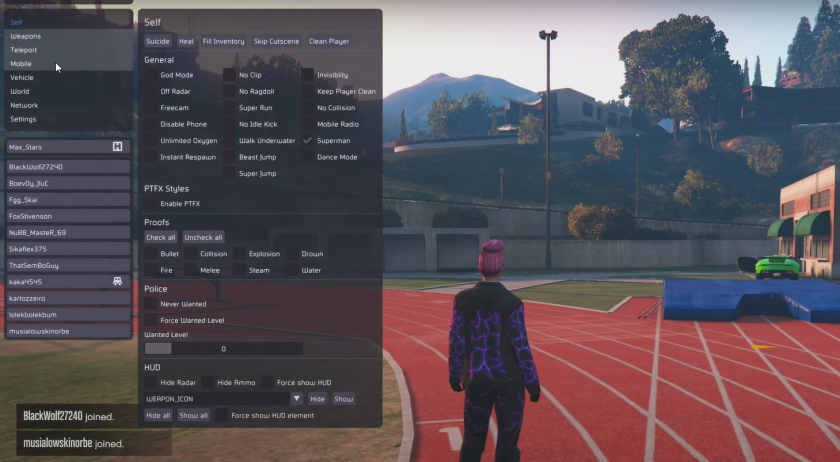 Weapon Modifications